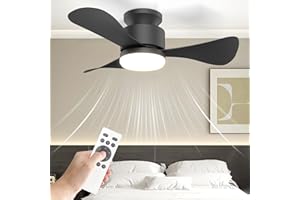 Hisummer 28 Inch Black Low Profile Ceiling Fan with Light and Remote, Small Modern 3-Blade Flush Mount Reversible Fan for Bedroom, Kitchen, Patio, Indoor/Outdoor