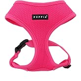 Puppia Neon Dog Harness Over-The-Head No Choke No Pull Walking Training for Small and Medium Dog, Pink, Small