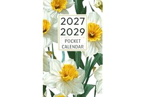 2027-2029 Pocket Calendar: 3 Year 27/29 Monthly Planner for Purse ( January 2027 to December 2029)