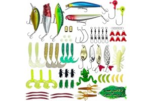 LOOTAERUL Fishing Bait Lures Kit, Tackle Box with Tackle Included,Minnow, VIB, Spoon, Molds, Hooks,Weights Other Accessories, Freshwater Bass Fishing Lure Set for Beginner and Experienced