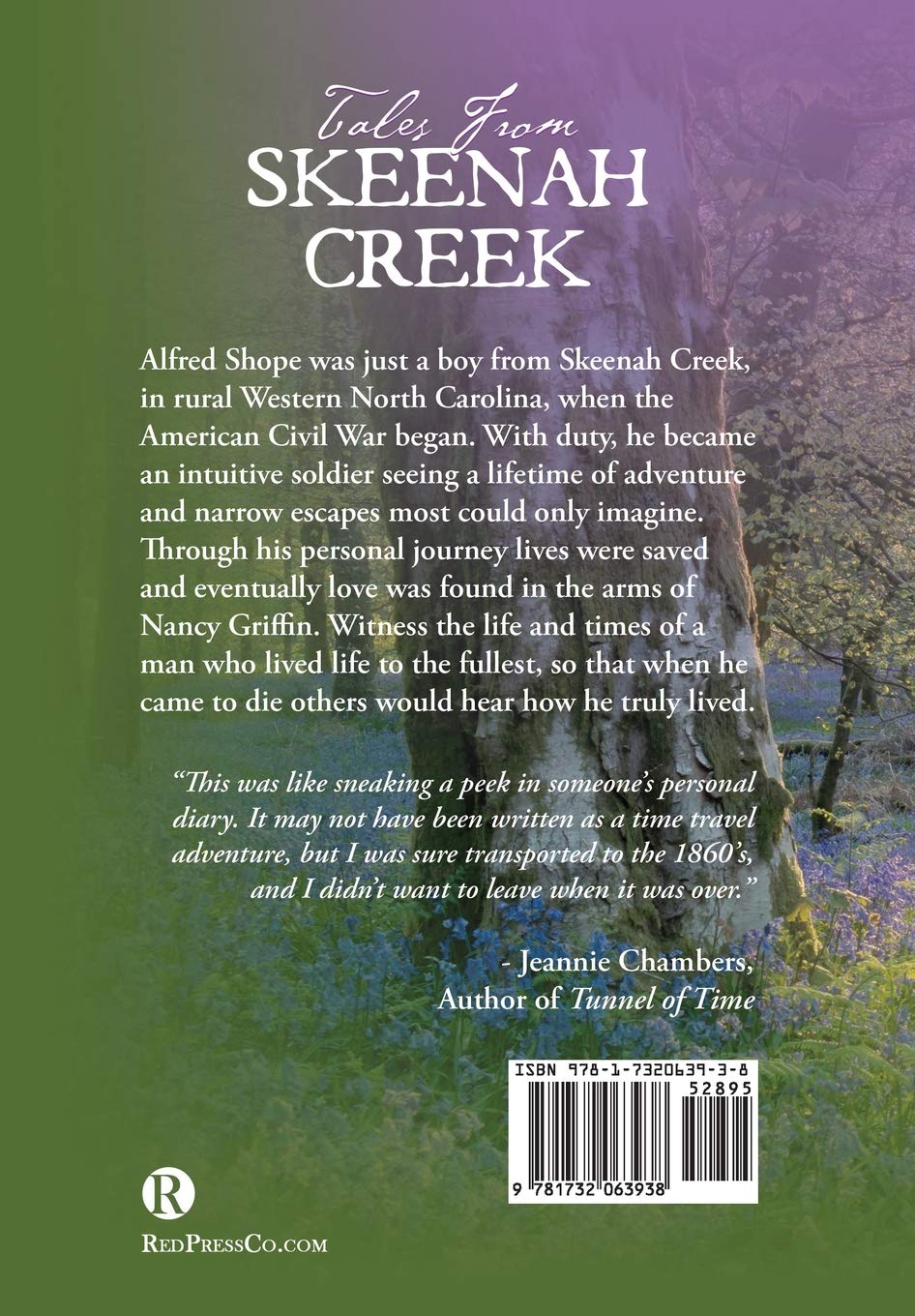 Amazon Com Tales From Skeenah Creek A Civil War Historical Fiction Novel 9781732063938 Shope Jim Collier Monica Books
