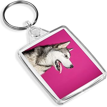 Destination Keyrings Vinyl Mignon Dalaska Malamute Chien