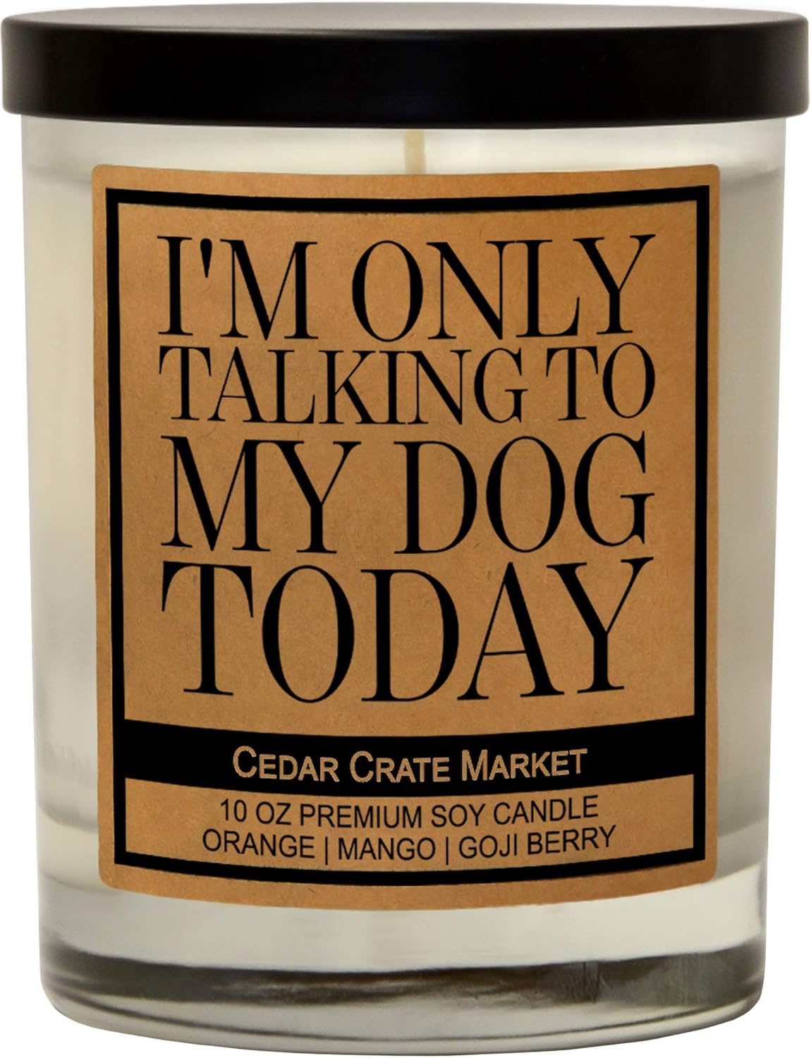I'm Only Talking to My Dog Today - Funny Dog Candles Gifts for Women, Men, Dog Lovers, Pet Candle for Home, House, Dog Mom Gifts, Pet Mom, Fur Mamas, Dog Dads, Foster, Rescue, Adoption Pet Families