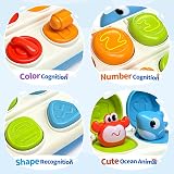 HahaGift Baby Whale Pop Up Toys Montessori Cause and Effect Learn view 4