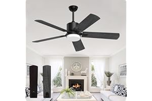 Biukis Black Ceiling Fans with Lights: 52 Inch Ceiling Fan and Remote Control 3 Colors LED Light 6 Speeds Wind Adjustable DC Motor Reversible for for Bedroom Living Room Patio