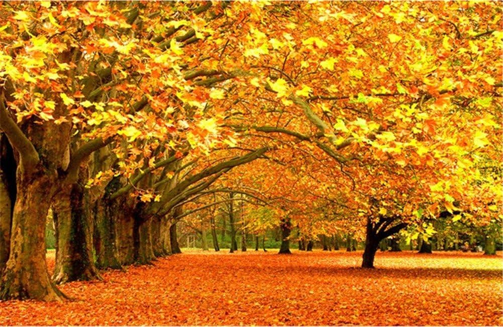 Amazon Com 5d Diy Diamond Painting Autumn Forest Full Square Diamond Embroidery Cross Stitch Decor