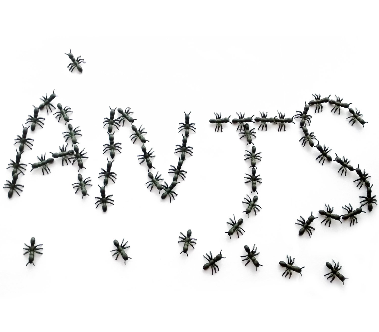 Mini Plastic Toy Ants Toy Figure 144 Piece eBay