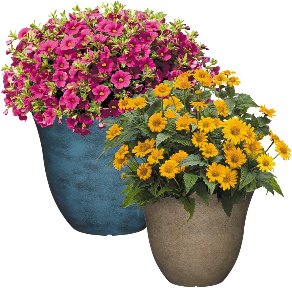 Classic Home and Garden Patio Pot Honeysuckle Planter, 15 Inch, Fossil : Garden & Outdoor