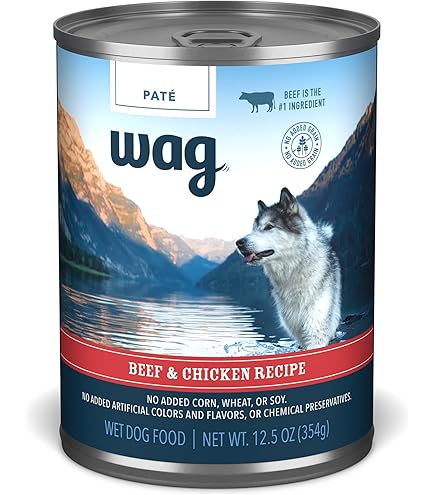 a spill proff water bowl for a cat No Spill Dog Cat Water Bowl Spill Proof Slow Water Feeder Green