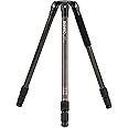 Benro Single Tube 75mm Bowl CF Tripod (C373T)