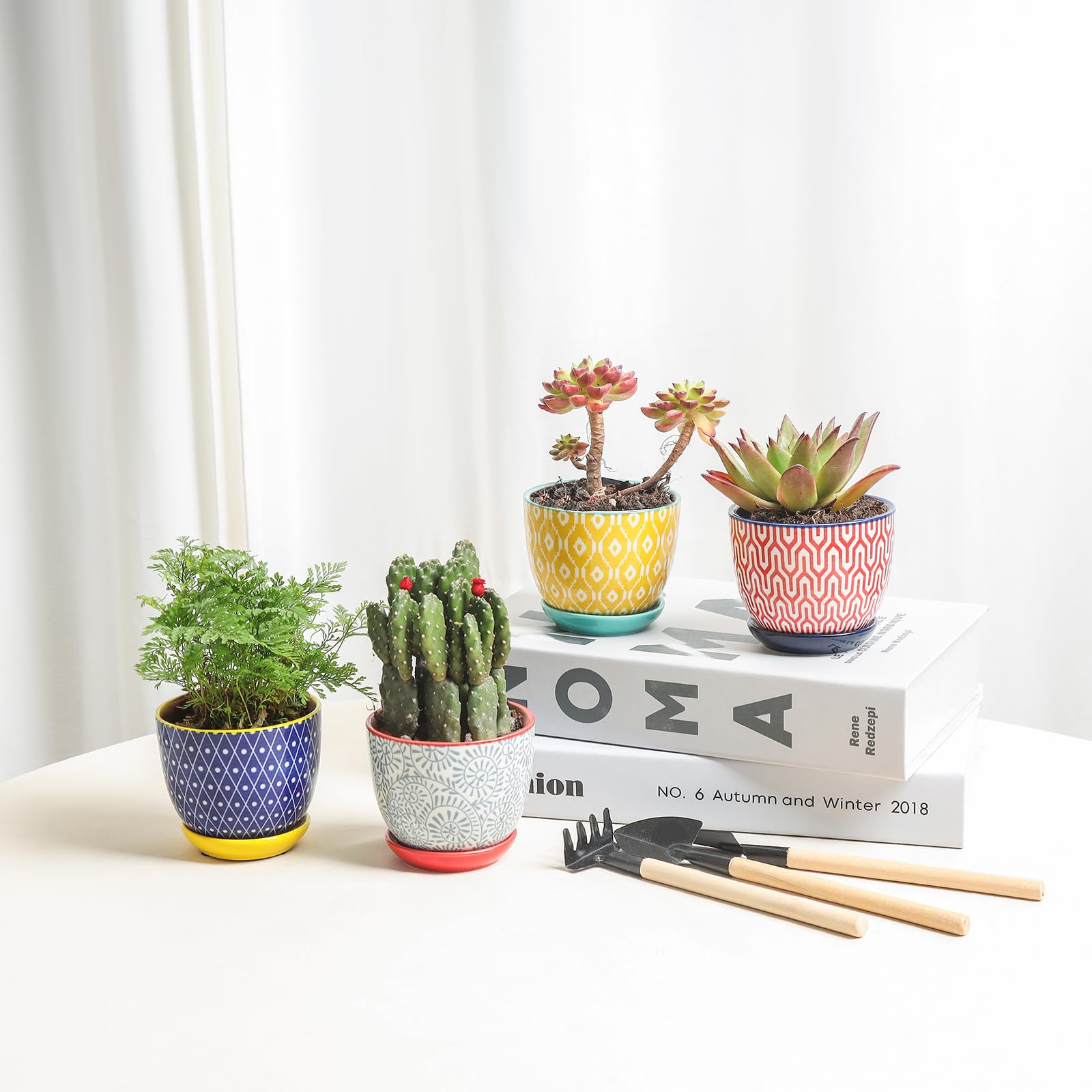 Condition photo showing New/Like New for selamica ceramic succulent pots, 3.5 inch small plant pots for indoor plants cactus herbs, succulent