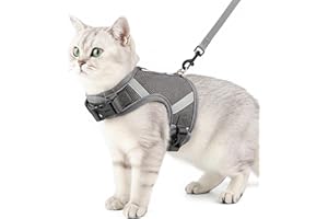 pangdi Cat Harness and Leash Escape Proof Kitten Harness Cat Leash for Walking Travel Service Cat Vest, Grey, Large