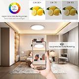 ONEWAY LED Ceiling Light 24W 2400lm Dimmable 1800K Night Light 3000-6500K view 5