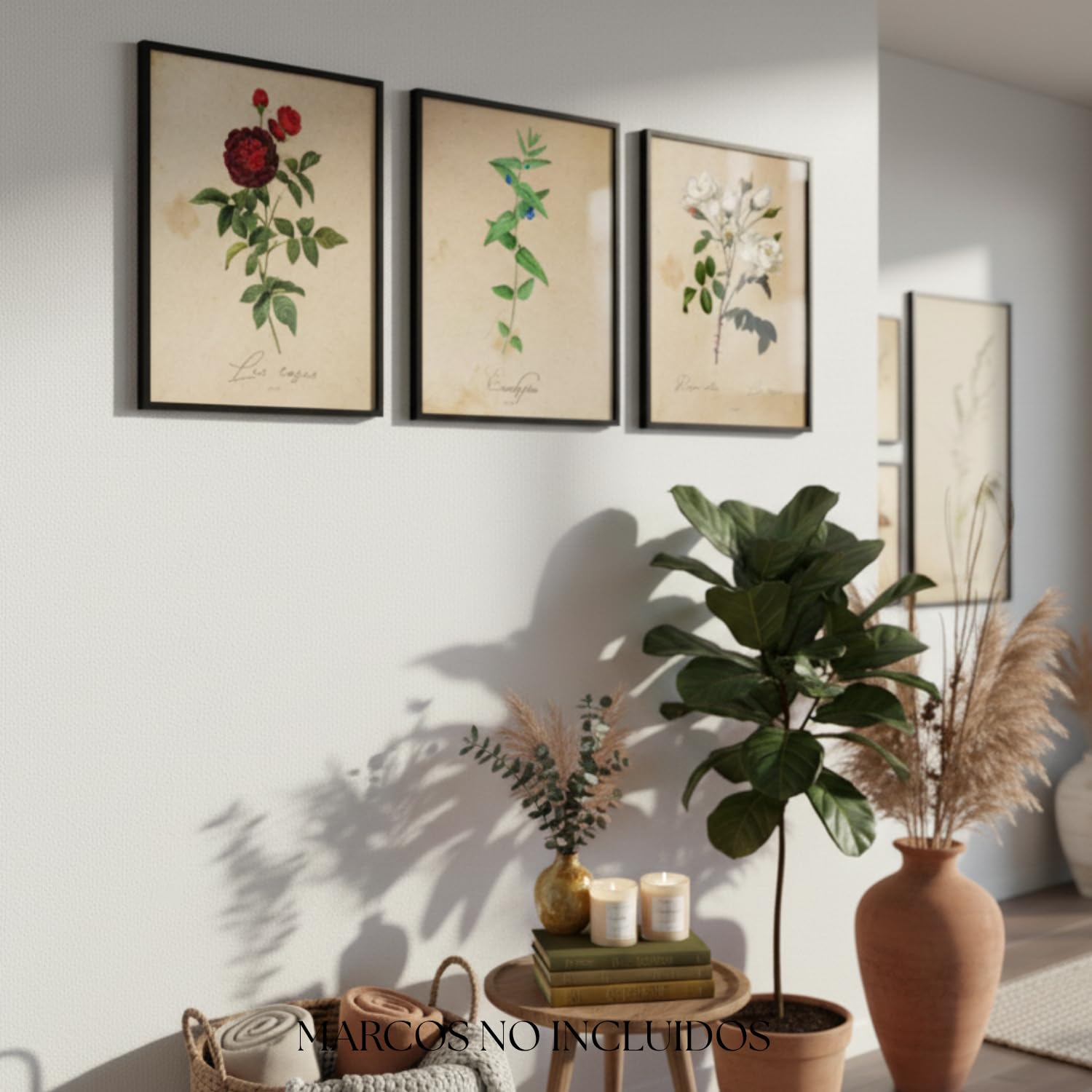 Nacnic Pack of Mediterraneo Strips. Posters with Images of Botanical. Home Decor. Sheets for framing Paper 250 Grams
