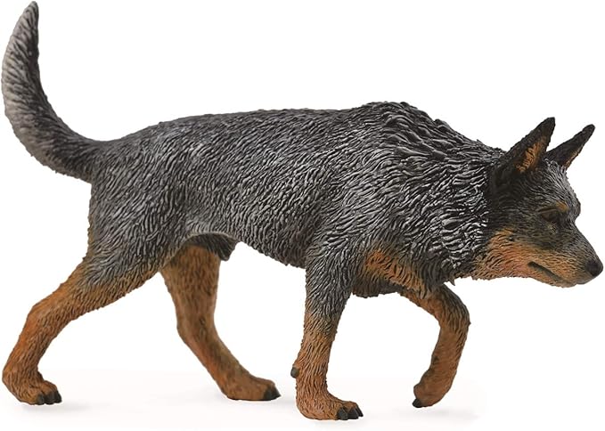 Amazon Collecta コレクタ オーストラリアンキャトルドッグ 犬 フィギュア 672 フィギュア ドール 通販
