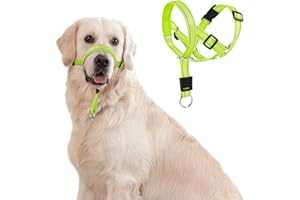 DOMIGLOW No-Pull Dog Headcollar - Reflective Head Halter Collar for Dogs, Padded Dog Head Collar to Stop Heavy Pulling, Anti-Pull Muzzle Leash (Green, Large)