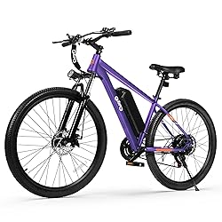 Qlife Racer Electric Bike for Adults - 21-Speed