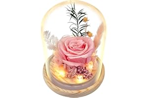 TGELATA Flowers, Roses Gift – Fresh Flowers Bouquet & Preserved Roses for Home Decor – Forever Flowers for Delivery Prime to Show Love for Women, Unique for Mother's Day & Christmas