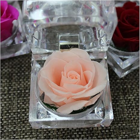Amazon 造花 永遠の花びら一年ローズギフト手作りのバレンタインデークリスマス誕生日のための花バラ 決して枯れたバラの中のアクリルリングボックスプリザーブドフラワー Color Flesh Pink 造花 オンライン通販