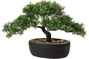 BRIFUL Artificial Bonsai Tree Juniper Faux Plants Indoor Small Fake Plants Decor with Ceramic Pots for Home Table Office Desk Bathroom Shelf Bedroom Living Room Farmhouse Decorations