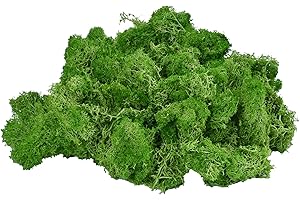 TAIKUU 久の物 3.5OZ Moss Preserved Artificial Moss Fake Moss Reindeer Moss for Craft Arts Floral Project Planters Table Decor Wedding Garden Terrariums Decoration