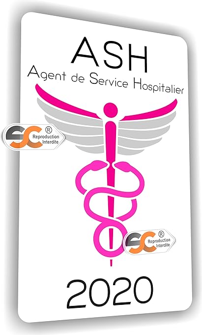 Sc Sticker Autocollant Caducee Infirmiere Amp Aide Soignante Aide A Domicile Auxiliaire De Vie Ash Fabrication Francaise Ash Agent Service Hospitalier Amazon Fr Bricolage