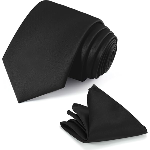 Cravate Professionnelle Cravate Fine Homme S&W - Soie Marron 147x6cm élégante Et Polyvalente Accessoire Costume élégant