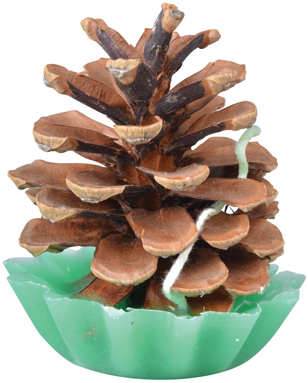 Pine Cone Firestarter Firelighter Quick Fire Candle - Pack of 10