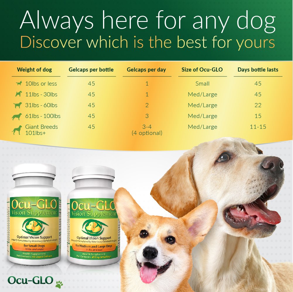 canine antioxidant vision supplement