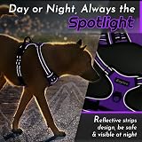 Eagloo Dog Harness Medium No Pull Front Back Clips Reflective Purple M view 8