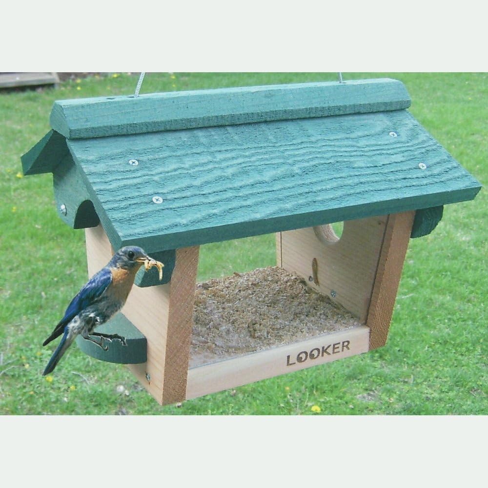 Songbird Essentials SE557 Bluebird Feeder (Set of 1)