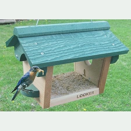 Amazon Com Songbird Essentials Se557 Bluebird Feeder Set Of 1