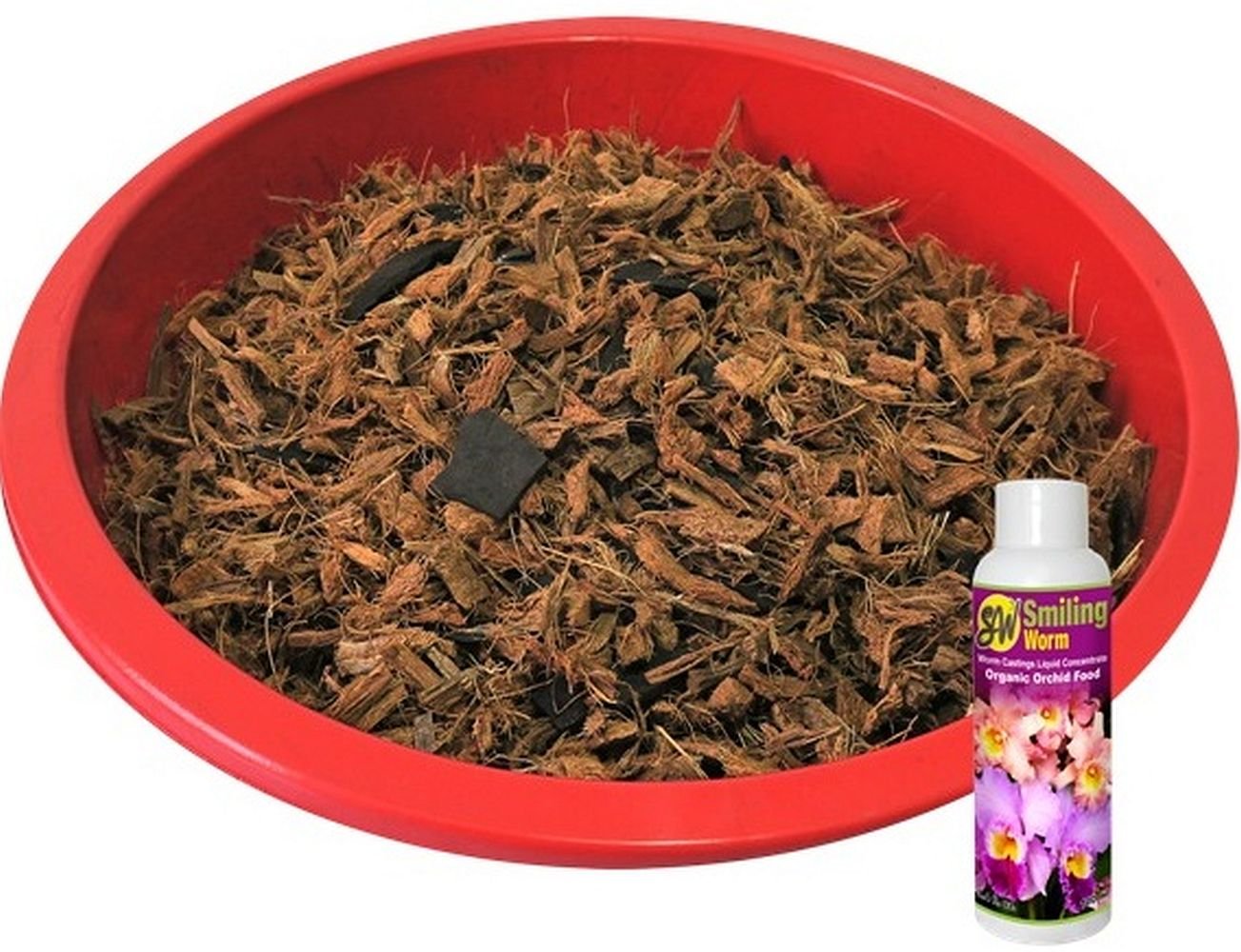 brassière avec coque