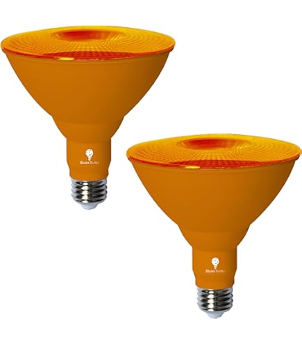 38灯　SOMATRIVAL　38-kT　Orange 38kT | 38explore