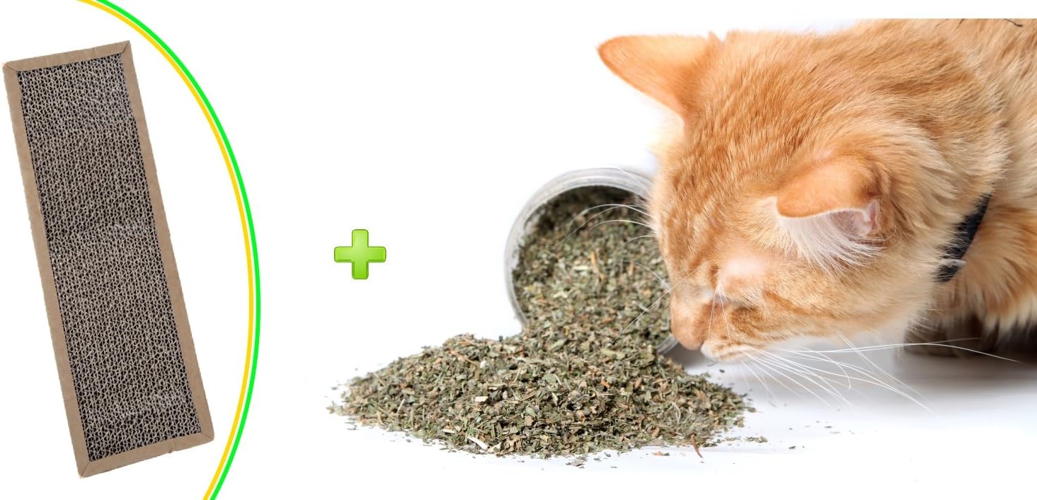 Catnip and Scratch Pad by Cat Crack, Premium Organic Blend Safe for Cats, Infused with Maximum Potency your Kitty is Guaranteed to Go Crazy for!