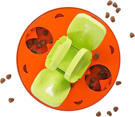 baby poodles for adoption