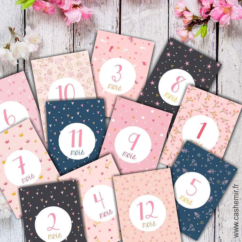 Lot De 12 Cartes En Papier Haut De Gamme Carte Etape Fille 12 Mois De Bebe Cartes A Photographier Mes 12 Premiers Mois Cartes Etapes Bebe Premiere Annee De Bebe Cadeaux Et