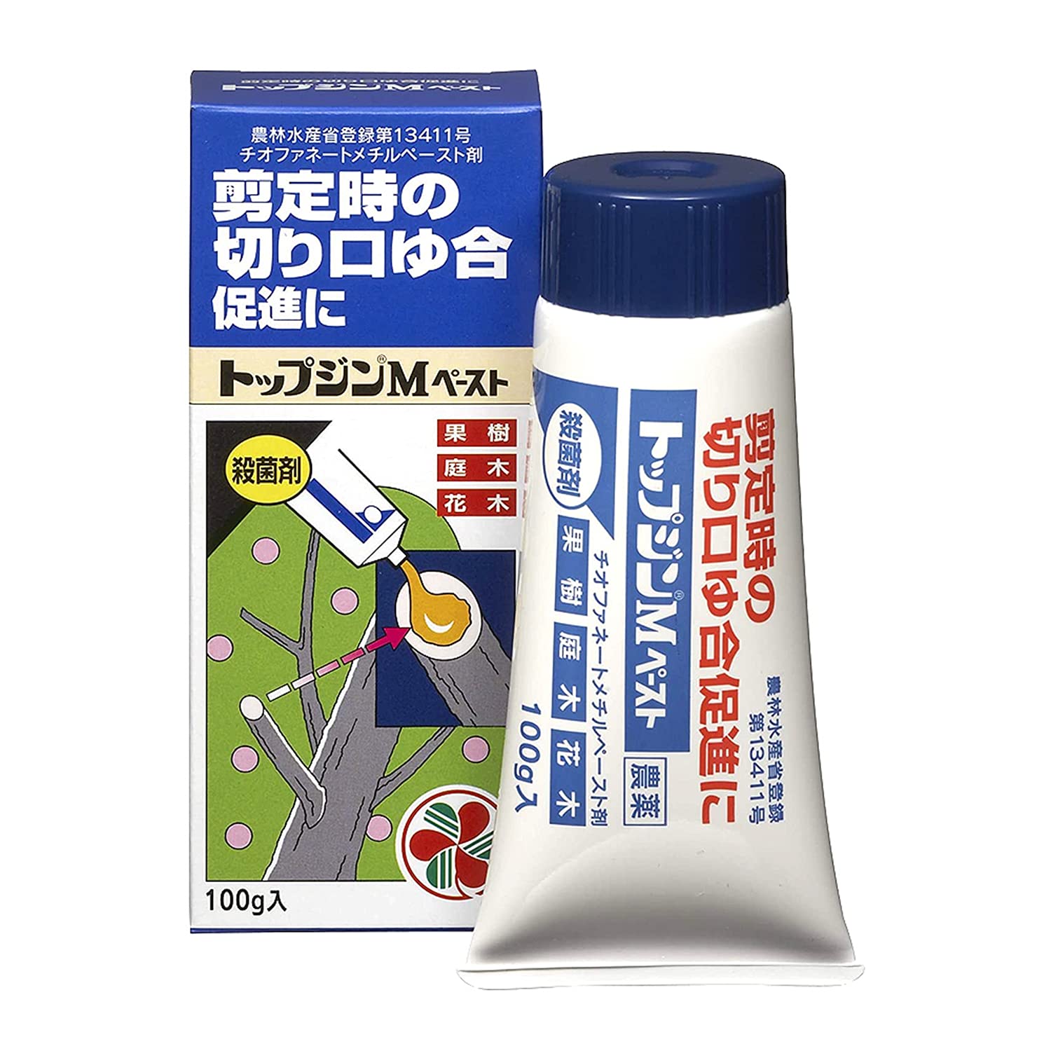住友化学園芸 殺菌剤 トップジンMペースト 100g 癒合剤 切り口保護 剪定商品画像