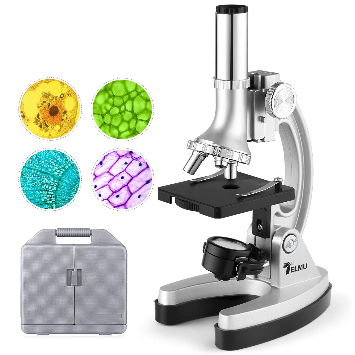 Best Amscope T390b3m