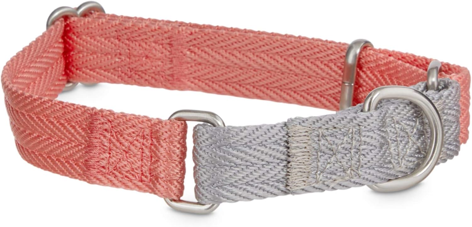 grey and pink dog collar