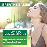 Tamiodfo Mullein Drops Mullein Leaf Extract Liquid Supplement view 6
