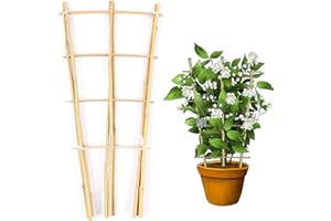 Cambaverd Trellis for Climbing Plants Indoor Outdoor, Natural Bamboo Trellis 24 Inch, 3 Pack Garden Trellis for Potted Plants, Ivy, Monstera, Houseplants