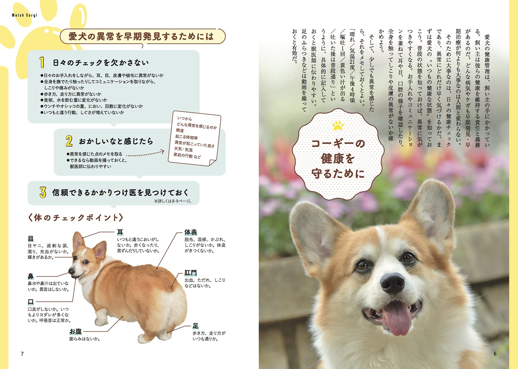 コーギー版 家庭犬の医学 いちばん役立つペットシリーズ コーギースタイル編集部 本 通販 Amazon