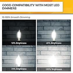 Hizashi Candelabra LED Light Bulbs, E12 LED Bulb