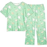 Basumee Girls Pajamas Toddler & Little Girls Kids Pajamas Set 2PCS Short Sleeve Long Pants PJS Sleepwear Clothes for Ages 2-9