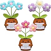 Wavwavw 3 Pcs Teacher Appreciation Gifts Positive Flower Handmade Crochet Doll Thank You for Helping Me Grow Gift for Women Teacher Appreciation Week End Year(Puff Flower)