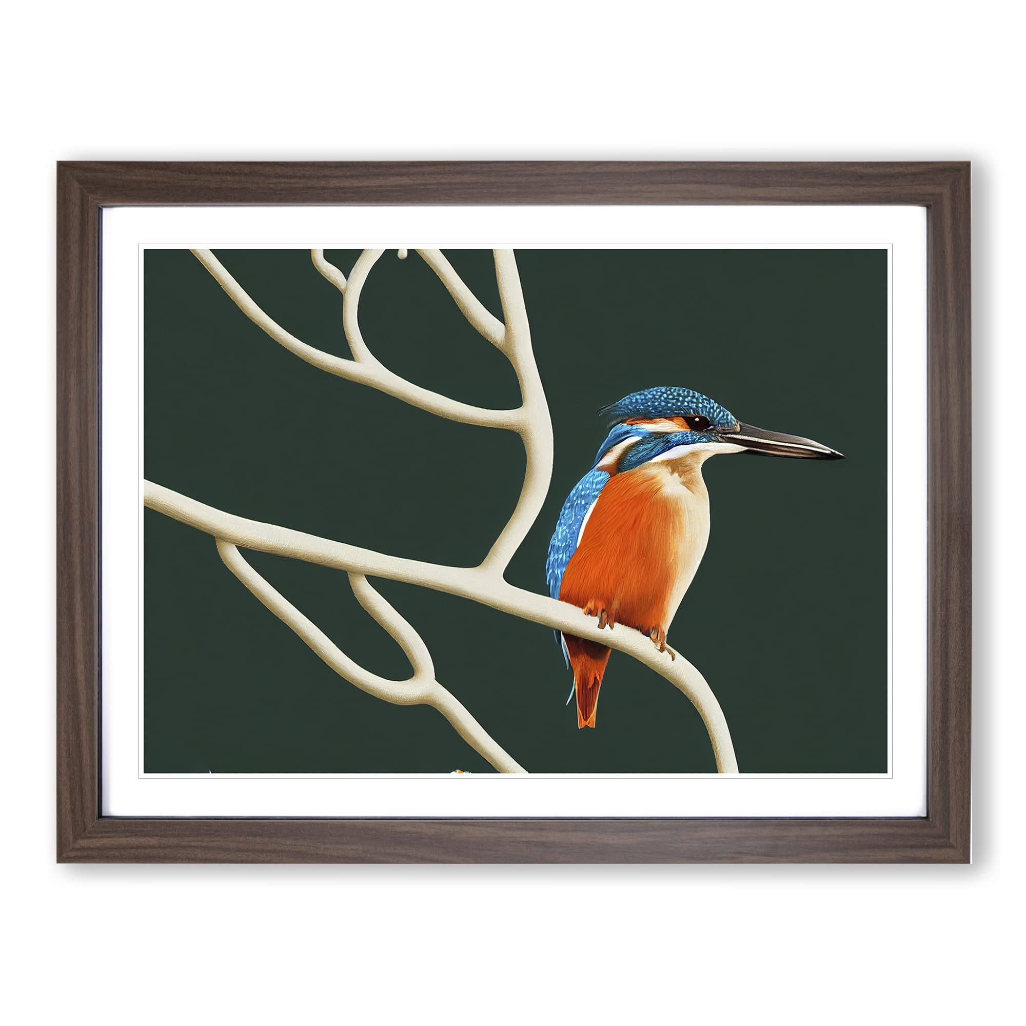 Awe Inspiring Kingfisher Bird Framed Print | A4 Walnut Framed Wall Art | Ready to Hang | Modern Nature Picture | Living Room Bedroom Lounge Office