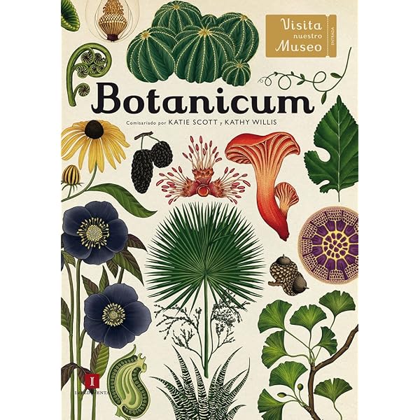 Botanicum: Katie Scott, Katie Haworth: 9781783703944: Amazon.com