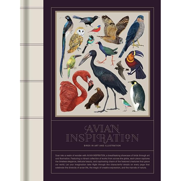 Birds: The Art of Ornithology: Elphick, Jonathan: 9780847861088