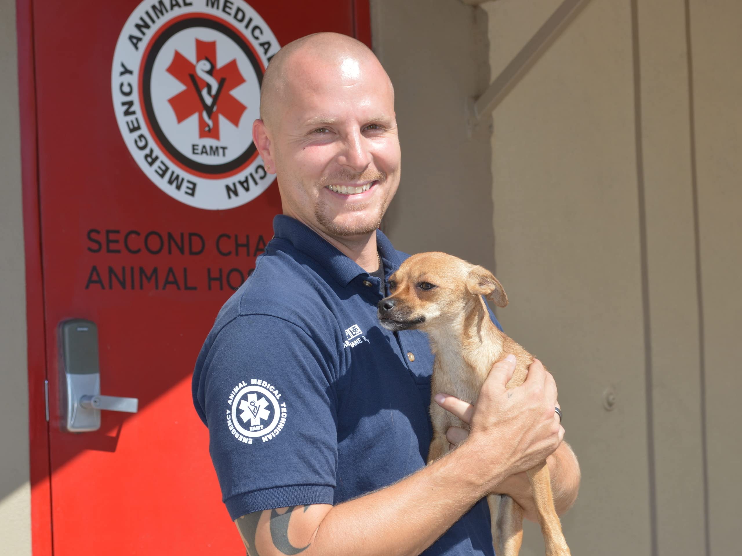 Watch Animal Cops Phoenix Season 4 Prime Video